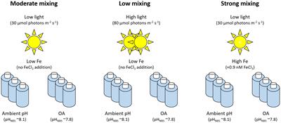 Responses of a Natural Phytoplankton Community From the Drake Passage to Two Predicted Climate Change Scenarios